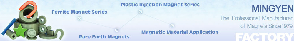 Ferrite Magnet
